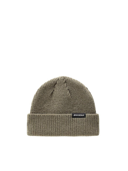 Dickies Cappello Unisex Woodworth Dk0a4x7y Verde