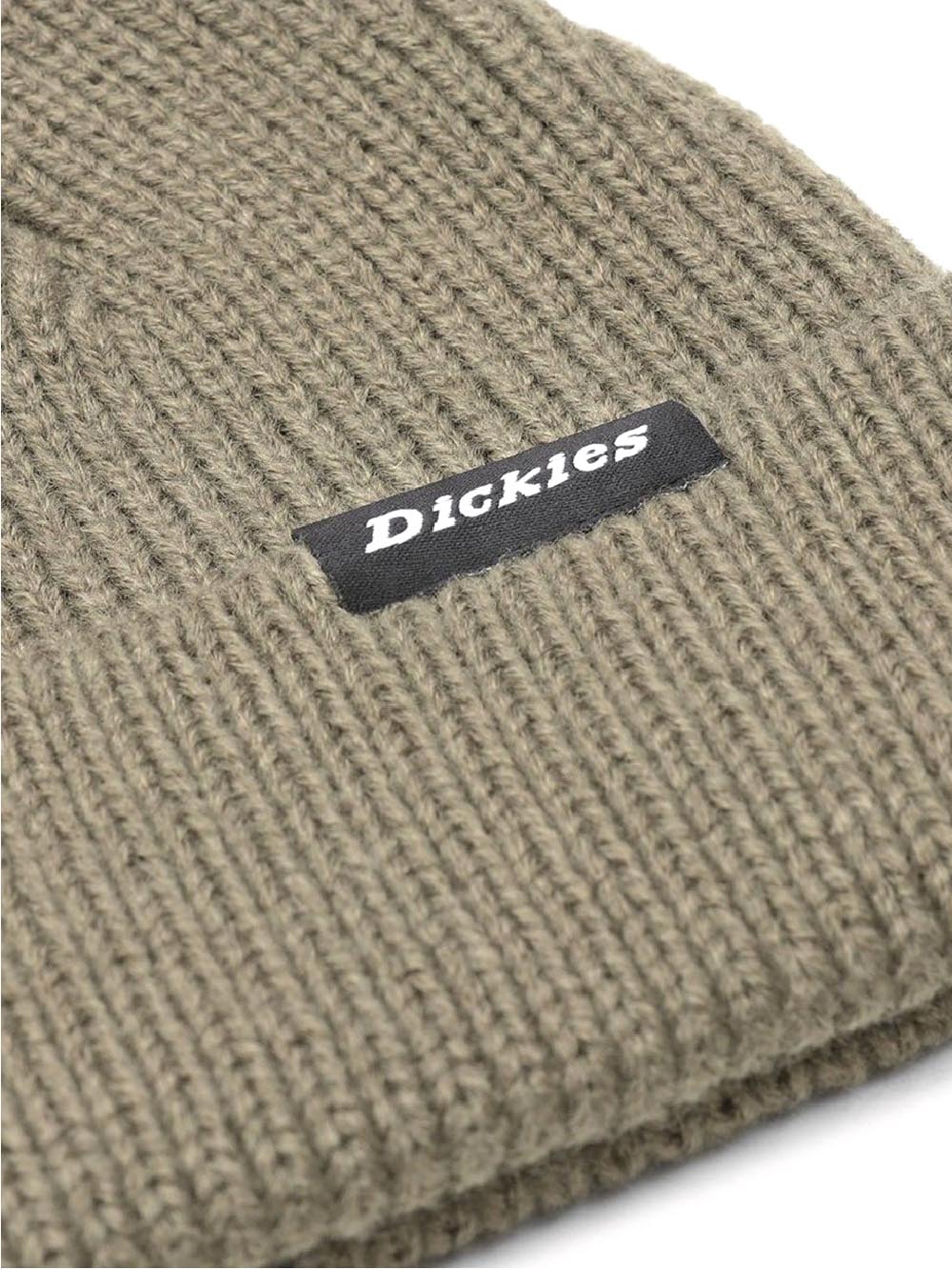 Dickies Cappello Unisex Woodworth Dk0a4x7y Verde